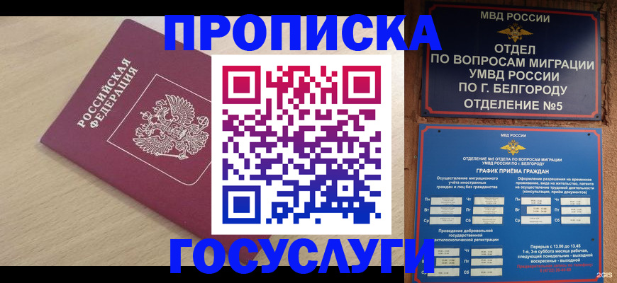 прописка законно в Порхове